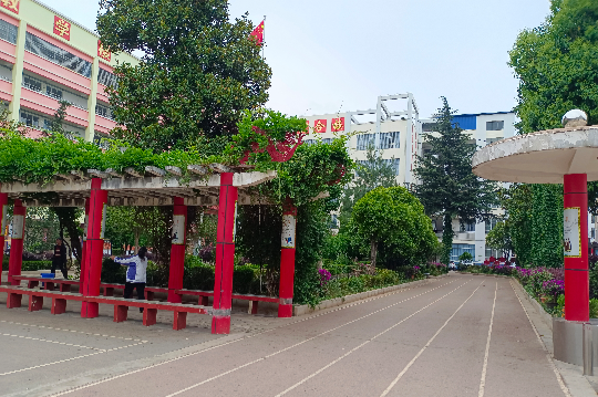 宣威榕城中学张雪峰图片